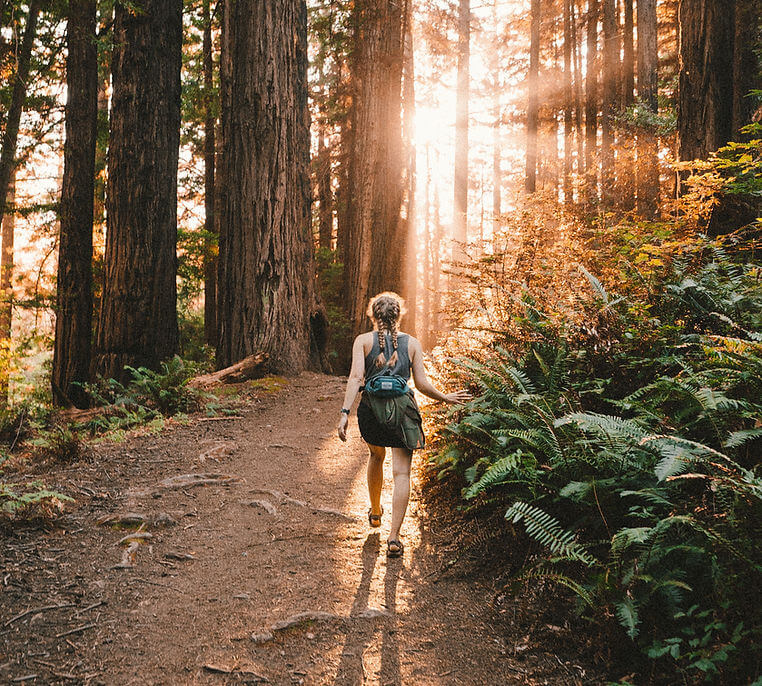 eco therapy hiking