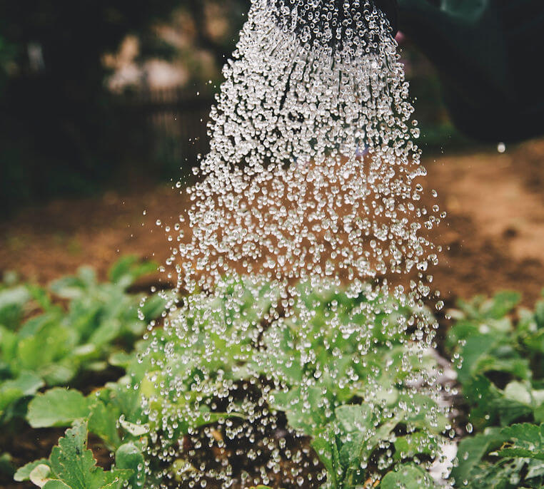 gardening