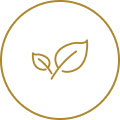our service icon 8